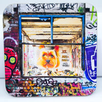 'Doggy in the window' coaster, 9cm x 9cm, 3mm thick.