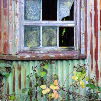 End of the garden