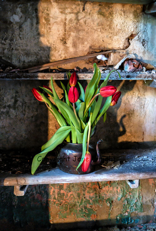 Flowers in the pantry