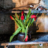 Flowers in the pantry