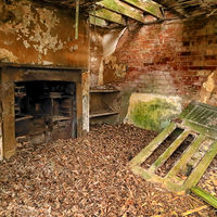 Laying In front of the fire. Was £50, now £25