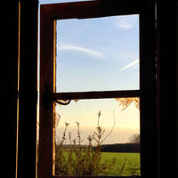 Morning Sun