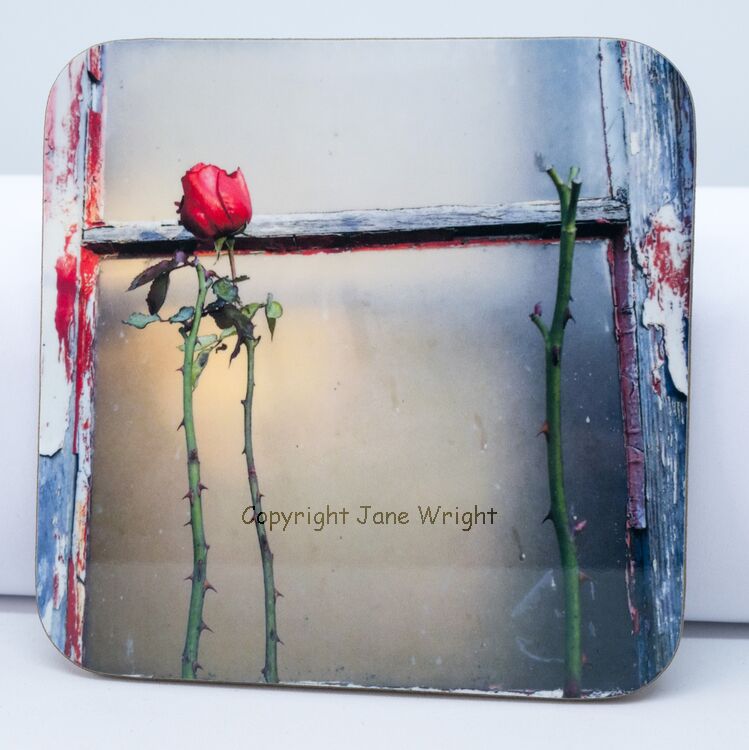 Coaster, 'Sleeping Beauty'