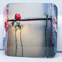 Coaster, 'Sleeping Beauty'