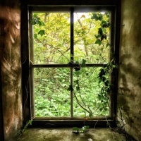 The Artist's Window