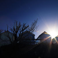 Winter Sun Was £50, now £25