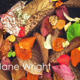 A Colourful Puddle. Was £50, now £25