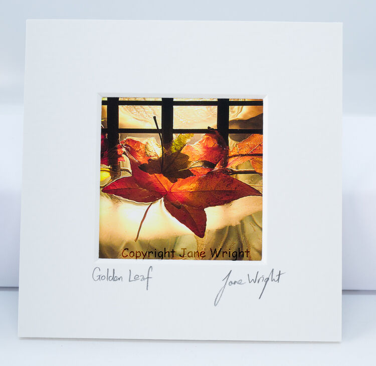 'Golden Leaf' small mounted Photograph