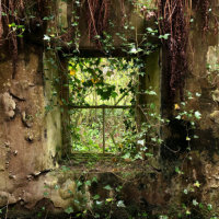 The Weeping Wall
