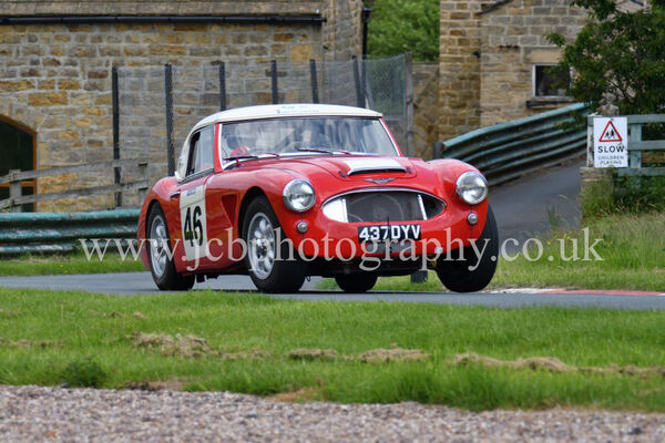 Austin Healey driven by Richard Mason