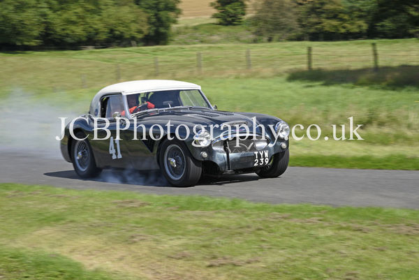 Austin Healey 3000 driven by Will Richards