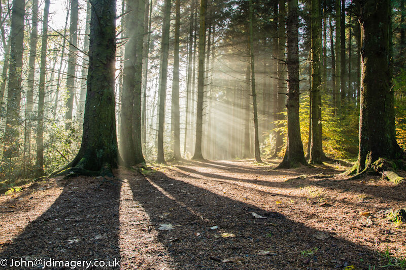Ray of light at Entwistle