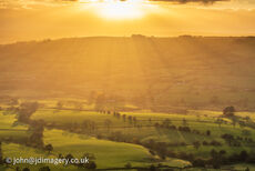 Suns rays (The roaches)