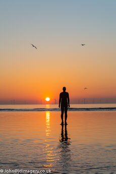 Sunset and seagulls (crosby beach)