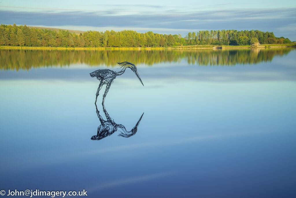 The Heron