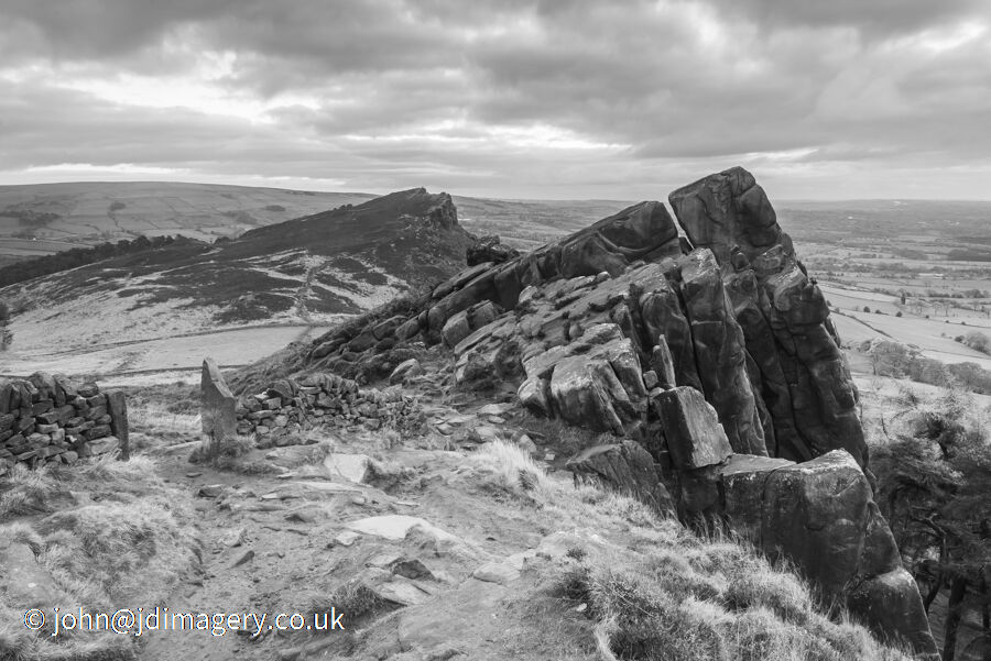 The roaches (mono)