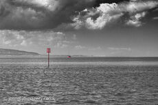 West kirby colour pop