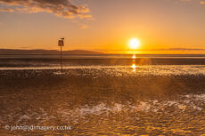 sunset and seagull west kirby