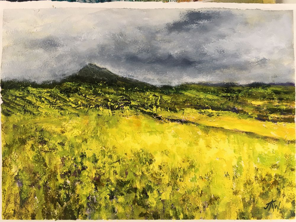 Rape Seed Fields in the Brecon Beacons