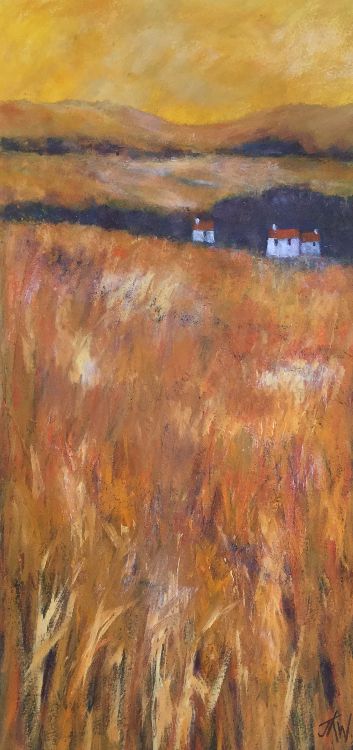 Wheat fields