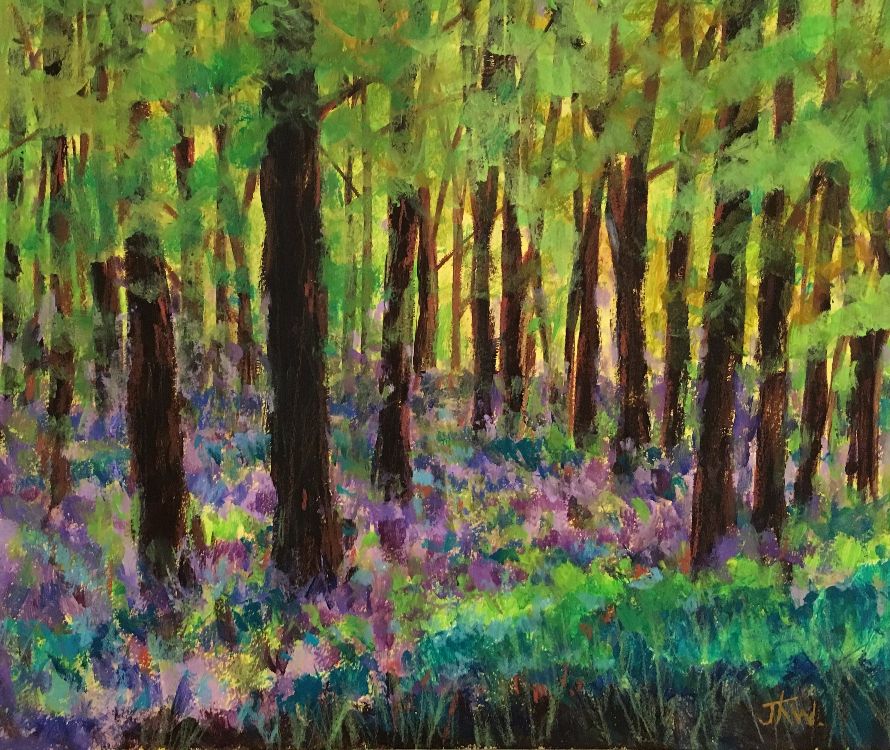 Bluebell Woods