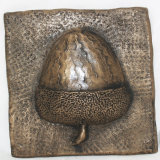 ACORN