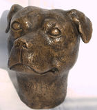 STAFFORDSHIRE BULL TERRIER