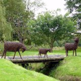 3 Billy Goats Gruff (2)