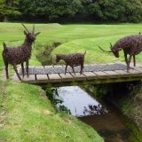 3 Billy Goats Gruff (3)