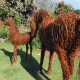 Arabian Mare & Foal 2