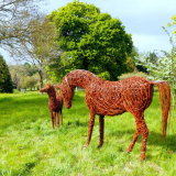 Arabian Mare & Foal 4