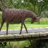 Billy goat - don't mess with me!