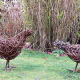 Chickens near tall grass