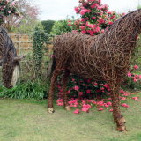 Cob horse