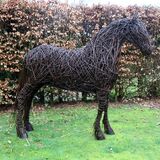 Friesian Horse