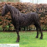 Friesian Horse