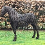 Friesian Horse