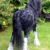 Gypsy Vanner (2)