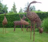 Herons - large and small