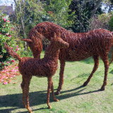 Arabian Mare & Foal 1