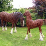 Shire & Foal (2)