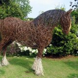 Shire horse - Cheshire Show 2018 (2)