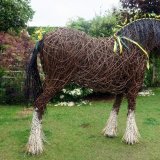 Shire horse - Cheshire Show 2018