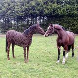 Thoroughbred encounter