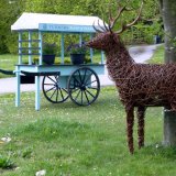 Maggie Turner's stag (not for sale!)