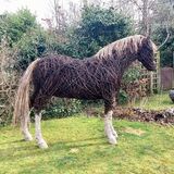 Welsh Pony (2)