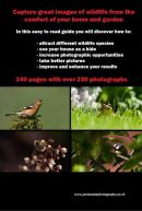 Back cover of the book