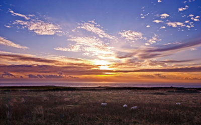 Sunrise over Flamborough Head