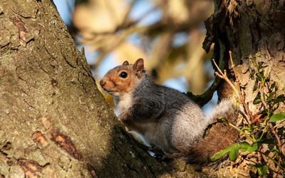 ....followed by sunbathing
