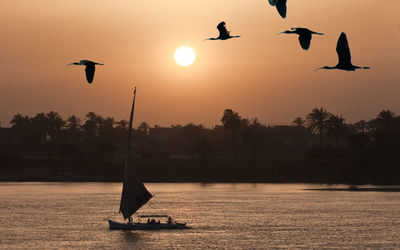 River Nile, Egypt
